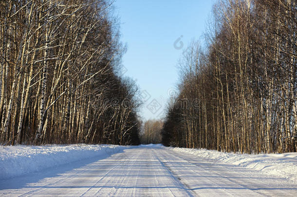 冬日森林里空旷的乡村道路