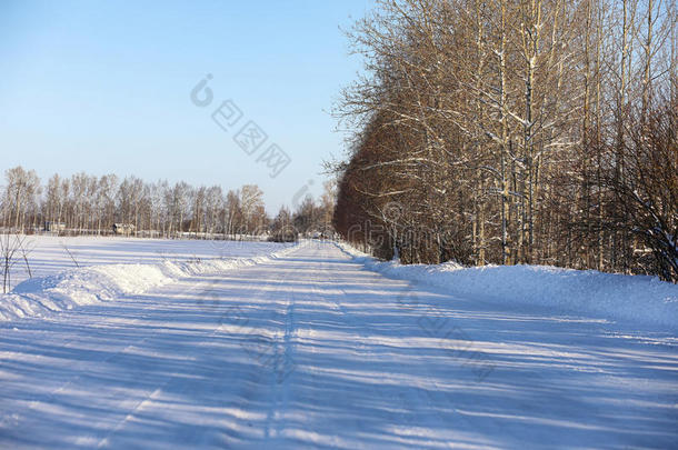 冬日森林里空旷的乡村道路