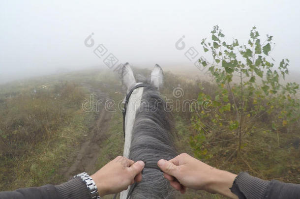 第一人称骑马的观点。 骑<strong>手</strong>在大自然中行走的观点。 波夫运动。 <strong>关门</strong>