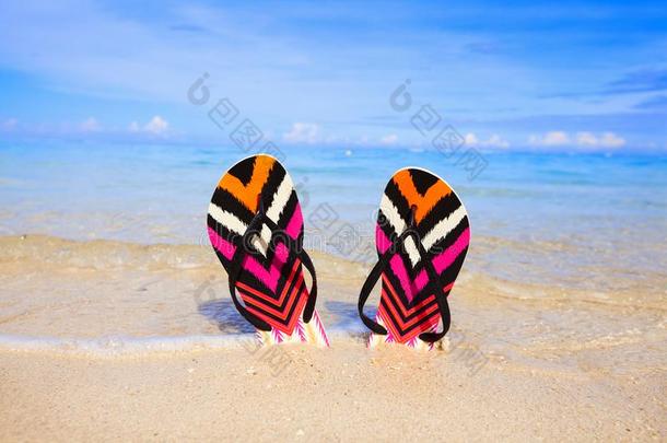 拖鞋。 五颜六色的拖鞋在沙子里。夏天和旅行。