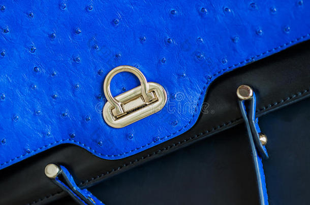 特写纹理生动时尚蓝色手提包，真皮与浮雕下的鸵鸟，金锁