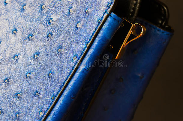 特写纹理的时尚蓝色手提包从真皮，浮雕在皮肤鸵鸟，黄金分离皮带