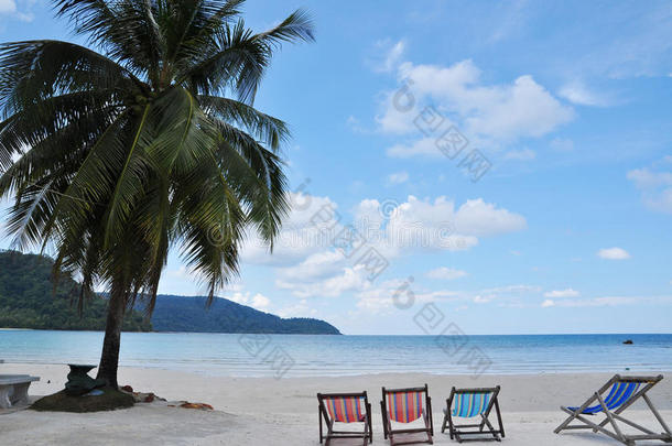 海边的椰子树和沙滩椅