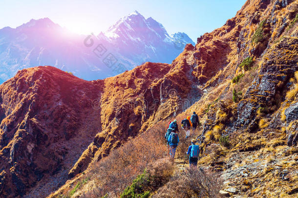 一群徒步旅行者在<strong>山道</strong>上行走，后视镜阳光明媚