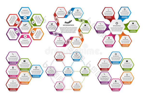 六边形彩色信息图形的集合。 设计元素。
