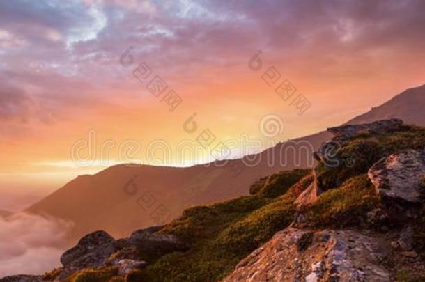 多彩的山景，美国旅行，美丽的世界