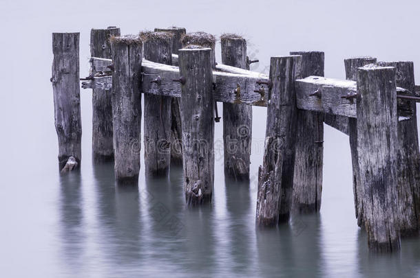 旧码头柱子的特写断裂，站在平静的水中，维