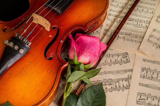 小提琴，红玫瑰和床单音乐