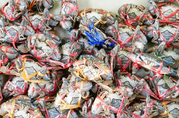 新<strong>鲜活</strong>蟹被绑在泰国当地市场出售