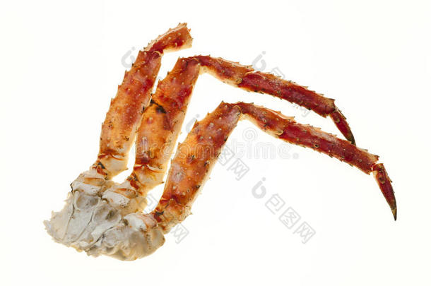 壳里的蟹肉。 蟹腿特写在白色背景上。 远东螃蟹，一种美味。 蟹群