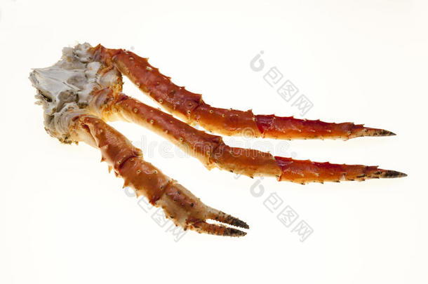 蟹腿特写在白色背景上。 远东螃蟹，一种美味。 蟹群