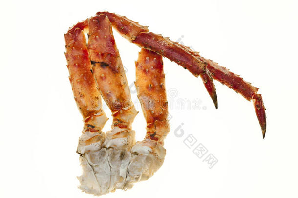 壳里的蟹肉。 蟹腿特写在白色背景上。 远东螃蟹，一种美味。 蟹群