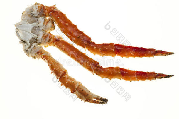 蟹腿特写在白色背景上。 远东螃蟹，一种美味。 蟹群