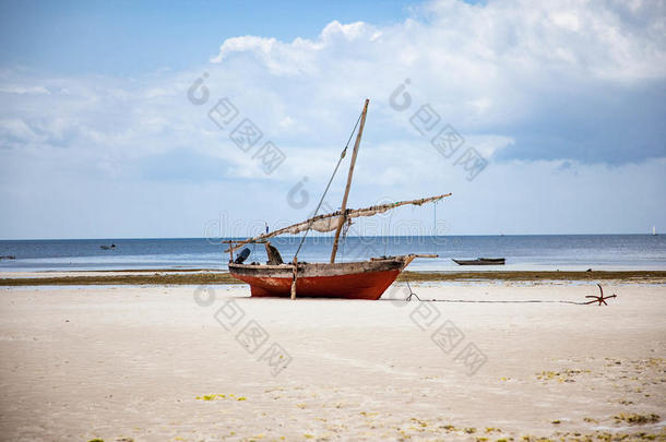 非洲非洲的海滩海岸独桅帆船