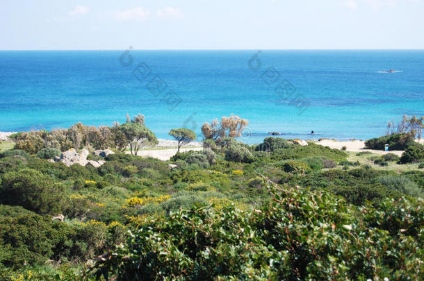 卡瓦乌赛海滩在别墅，撒丁岛，意大利。 绿色，蓝色，p