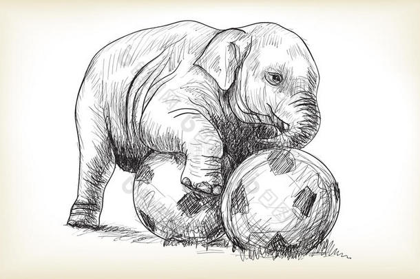 小象踢足球、素描和徒手画