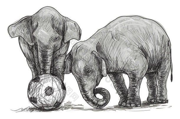 大象踢足球，素描自由手绘插图