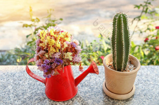 浇水罐里的花和大理石桌子上花盆里的仙人掌