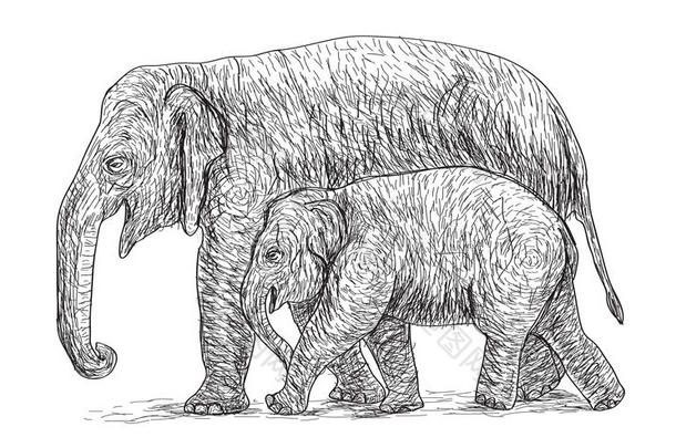 大象母亲和婴儿走在旁边，亚洲物种素描