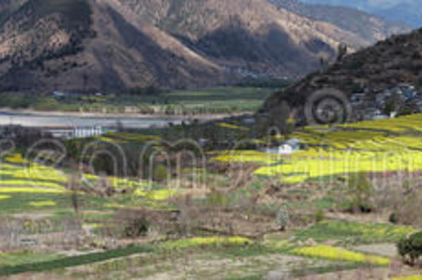 丽江石鼓村油菜花鸟瞰图。石鼓在中国云南，是南丝绸之路的一部分