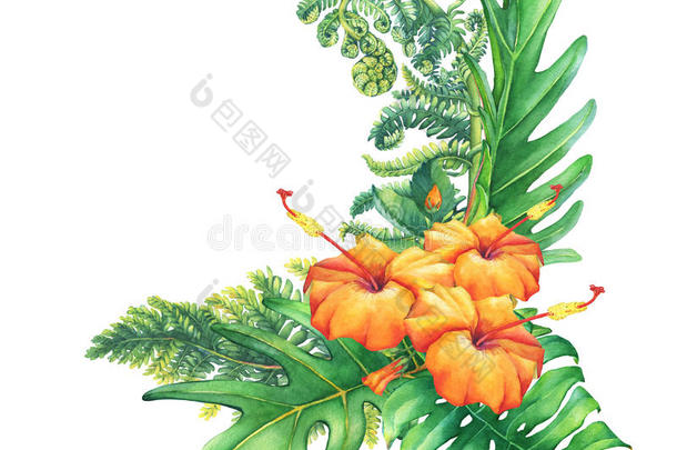 与黄红色热带花卉和植物的组成。