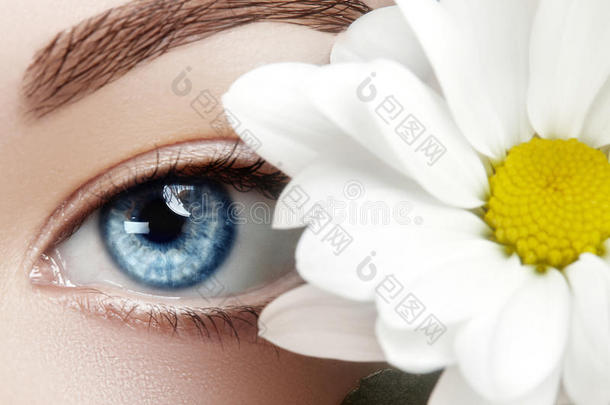 美丽的蓝色女眼，白色的春花。 清洁皮肤，时尚自然化妆。 良好的视力，医疗保健
