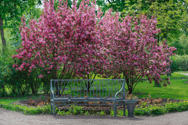 一张长凳和一朵朵苹果树。