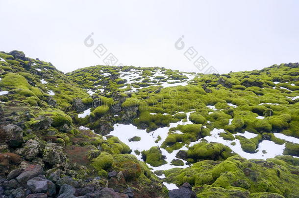 绿色熔岩场