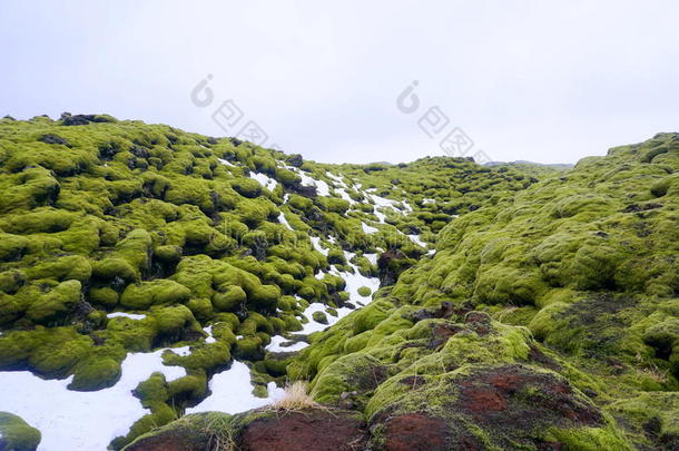 绿色熔岩场
