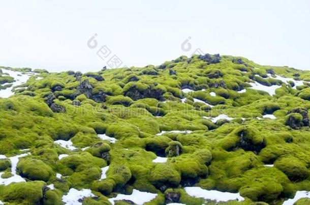 绿色熔岩场