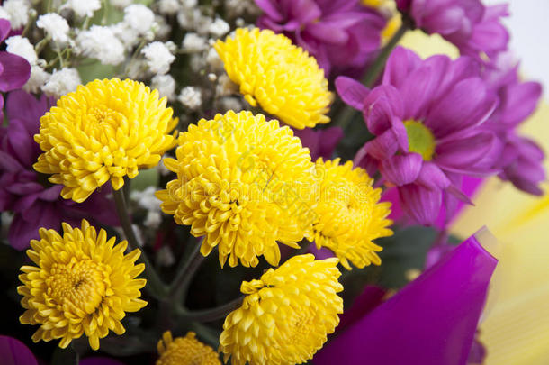 黄色和紫色菊花与黄色郁金香的美丽花束