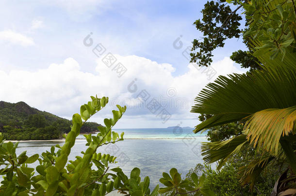 海滩海岸海岸线古董异国情调的