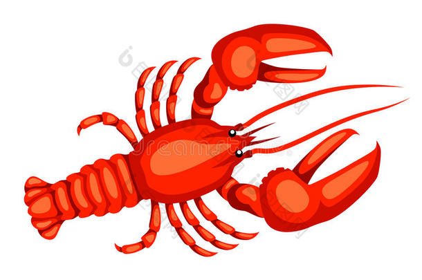 动物煮爪煮熟的小龙虾