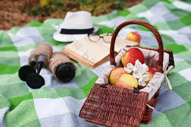 在公园里的格子野餐上有食物的书和篮子