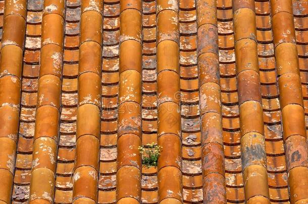 屋顶上的<strong>中国古典</strong>瓷砖