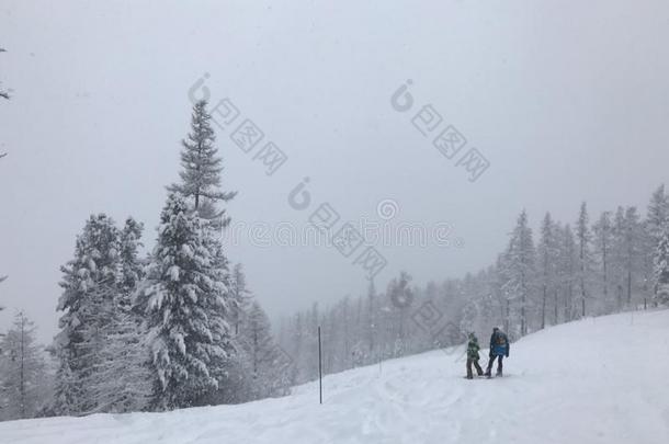 山滑雪雪滑雪板滑雪板运动员