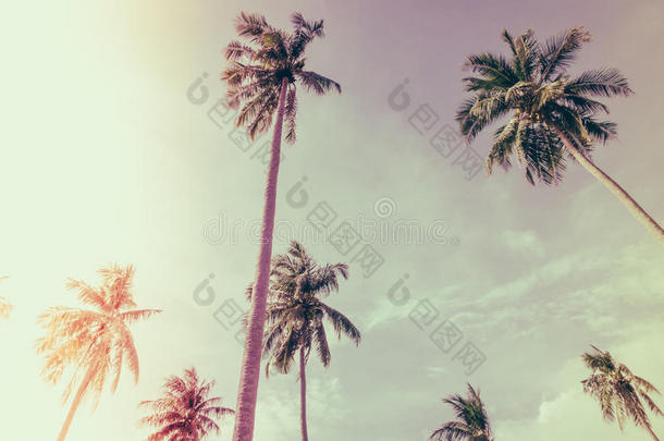 蓝天上的椰子树。 (过滤图像处理的年份