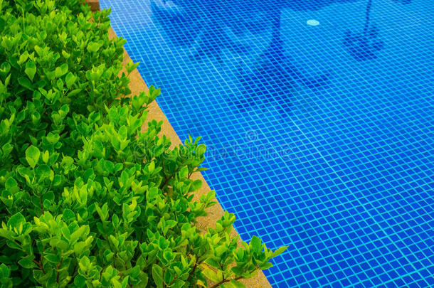 酒店游泳池度假村美丽的游泳池。