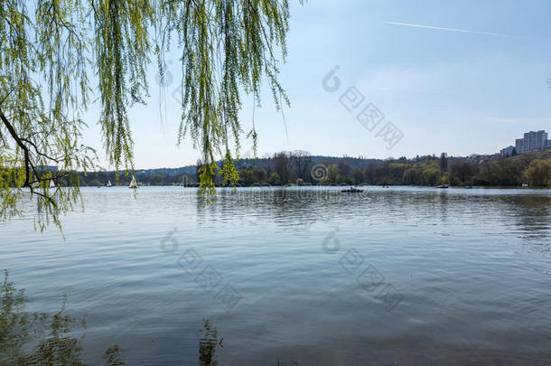 蓝色湖水反射景观池最大眼见斯图加特