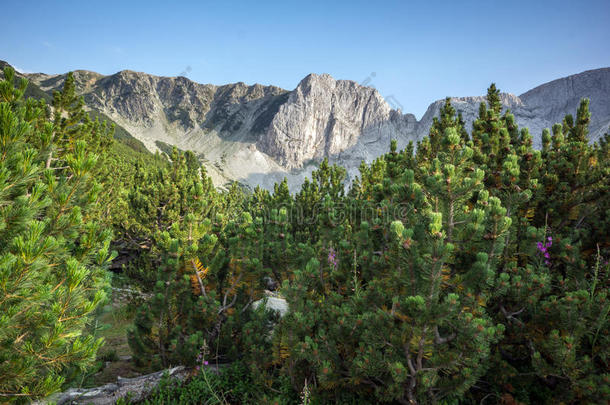 皮林<strong>山西</strong>纳尼察峰美景