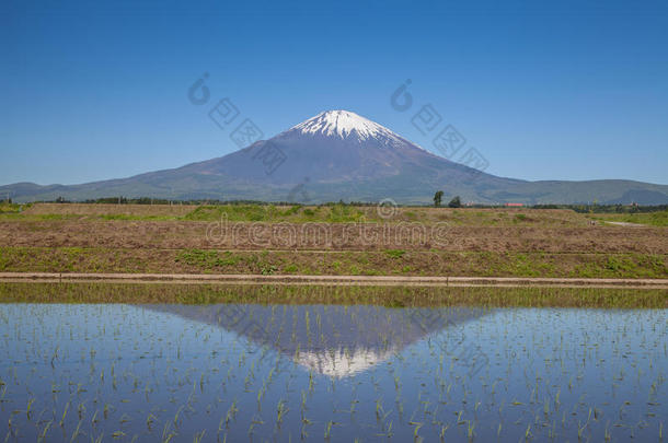 <strong>富士山</strong>