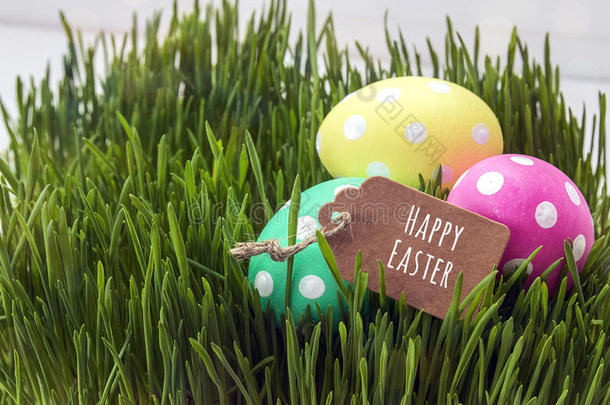 复活节鸡蛋和标签与快乐复活节在新鲜的草。