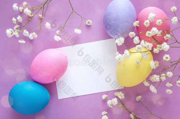 复活节鸡蛋与空白纸卡和白色花在紫色巴