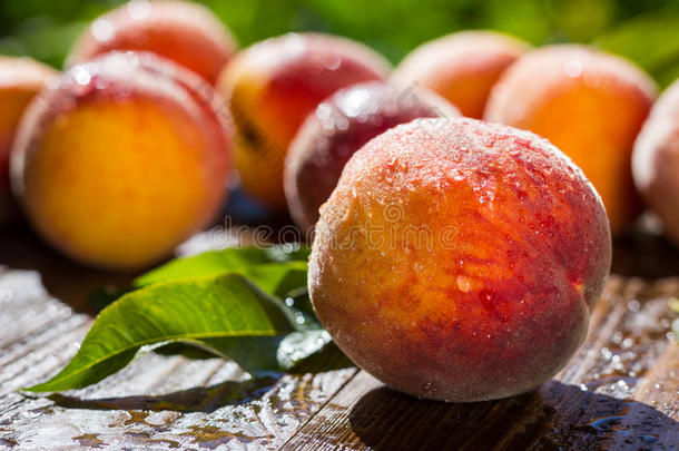 新鲜桃子，桃子特写水果背景，桃子在木巴上