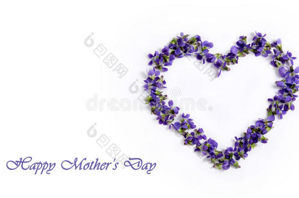 精致的弹簧紫罗兰，在白色背景上的心脏形状。 妈妈`一天