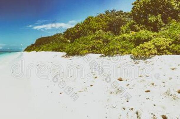 360度环礁海滩椰子异国情调的