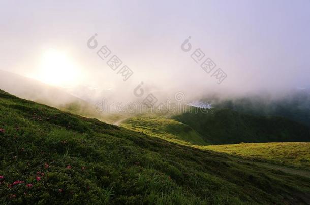 多彩的山景，美国旅行，美丽的世界