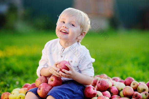 可爱的男孩坐在一堆苹果上，吃着成熟的苹果