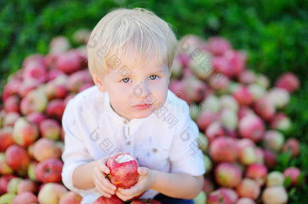 可爱的男孩坐在<strong>一堆苹果</strong>上，吃着成熟的<strong>苹果</strong>