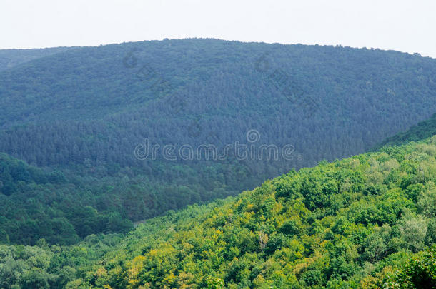 下午阿尔卑斯山秋天背景美丽的